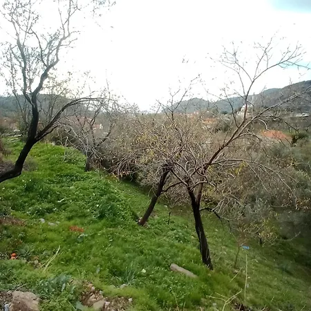 Kardelen Apart アパートホテル *