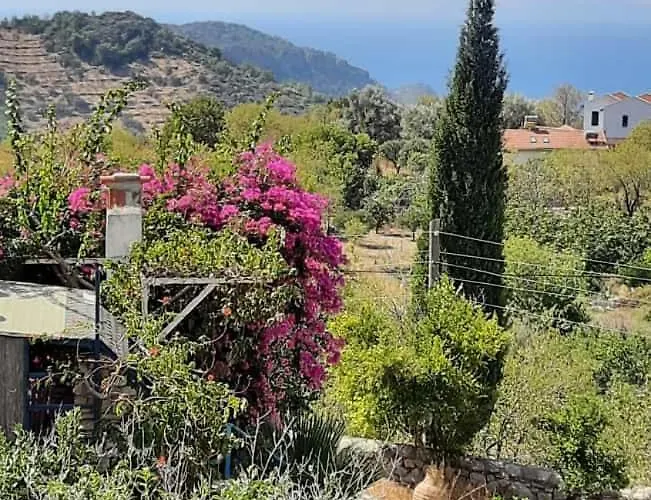 Kardelen Apart Apart Otel Datça