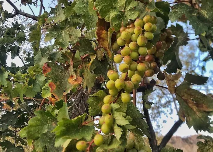 Kardelen Apart * Datça